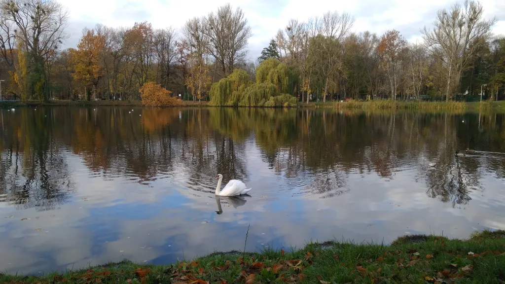 Квартира Апартаменты Дом путешественника — Калининград