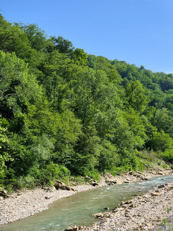 Летняя студия с дизайнерским ремонтом