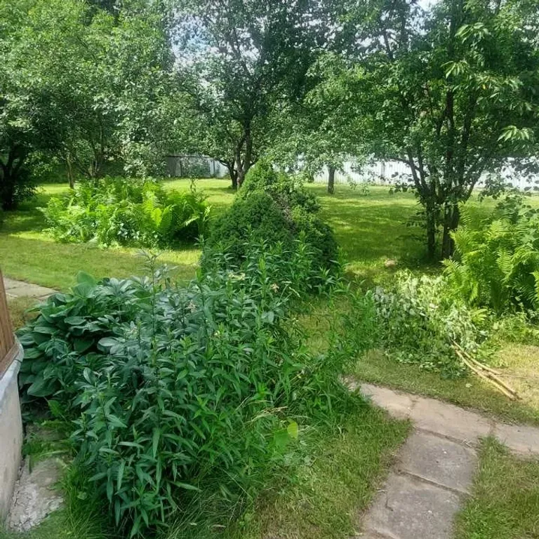 Коттедж с баней