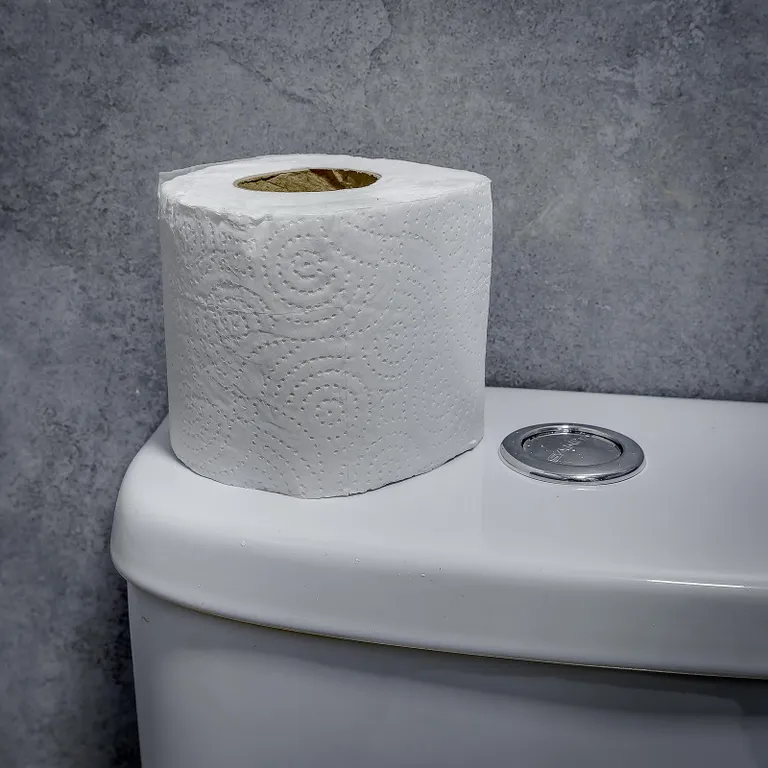 Удачный вариант двухместной студии на Розыбакиева