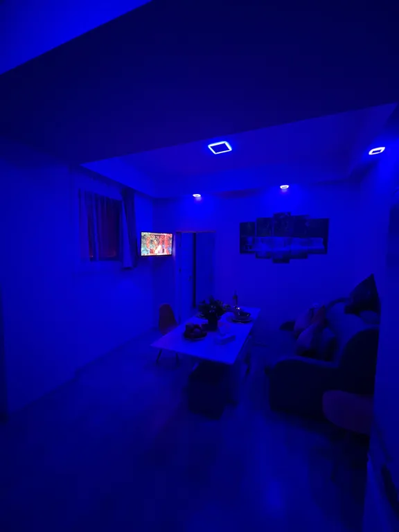 Comfort with Green Refreshing Interior Self Check In