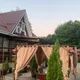 Золотая липа