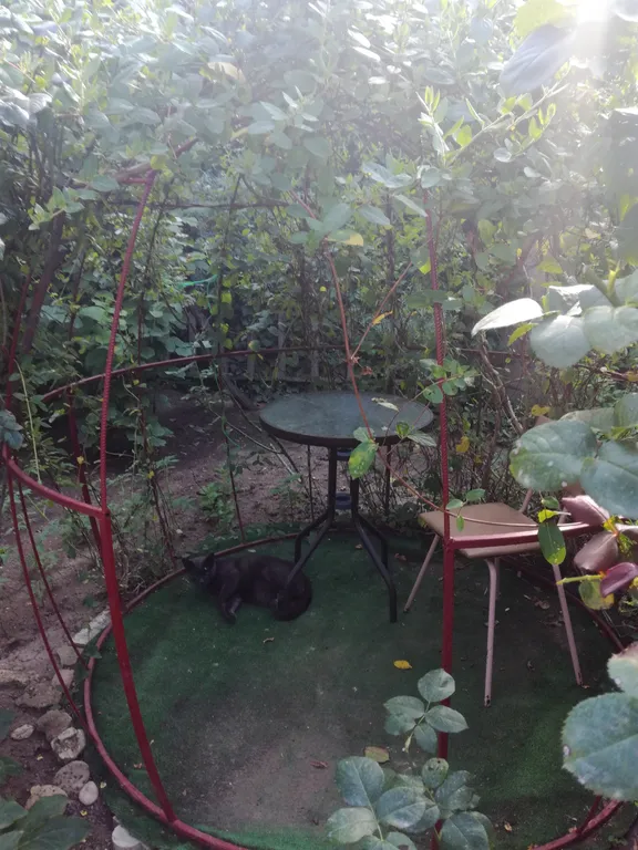 Дом в большом красивом закрытом дворе под ключ