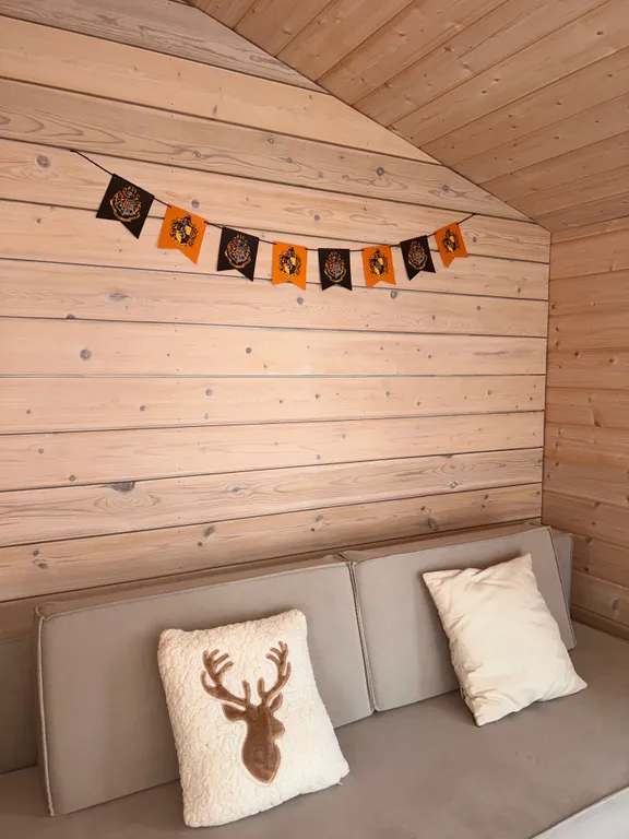 Туя пик Дом в Сорочанах с камином и баней на дровах