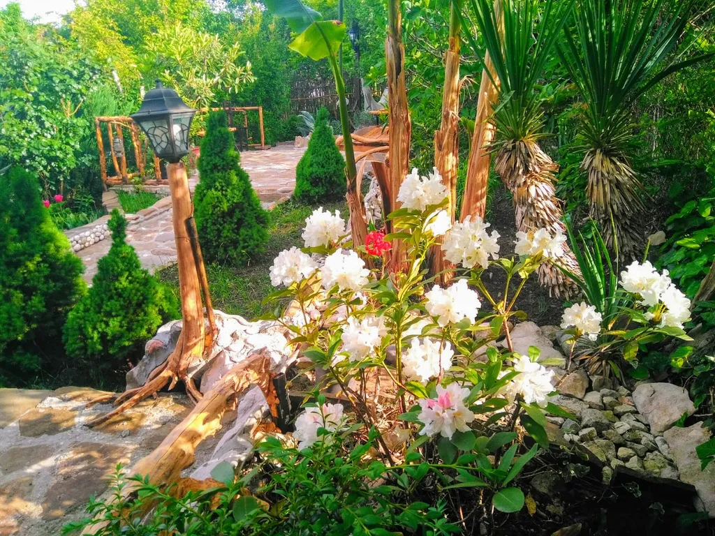 Гостевой дом Каньон Псахо