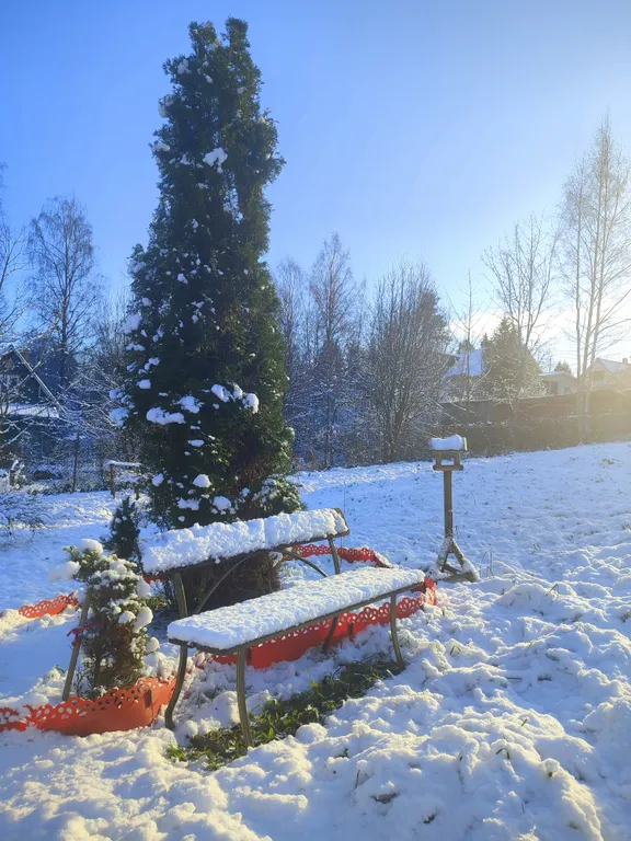Петербургская дача на холме прямо у озера