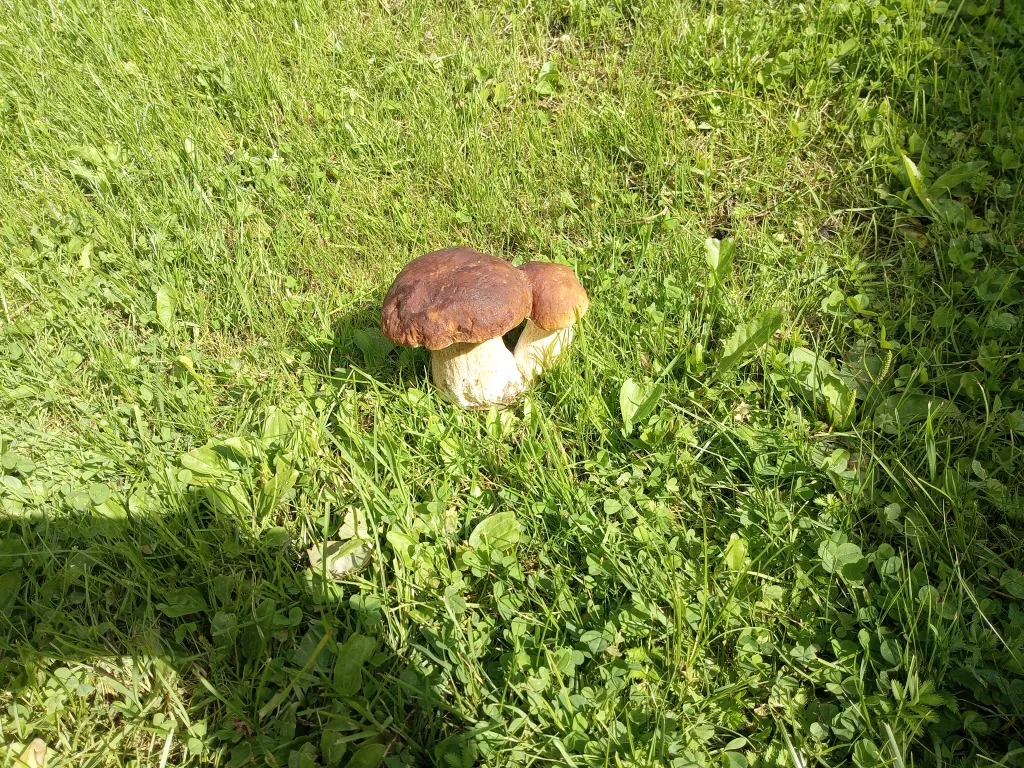 Дом с видом на озеро