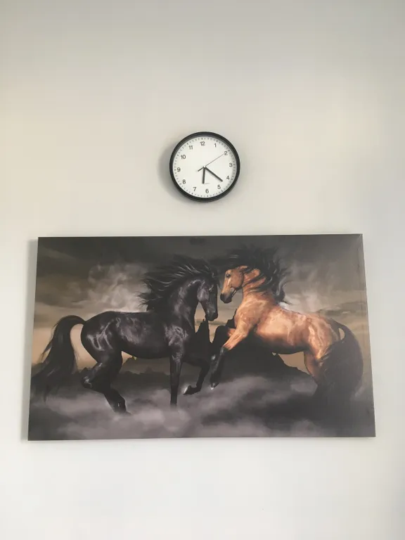 Квартира Квартира Янтарная долина — Светлогорск