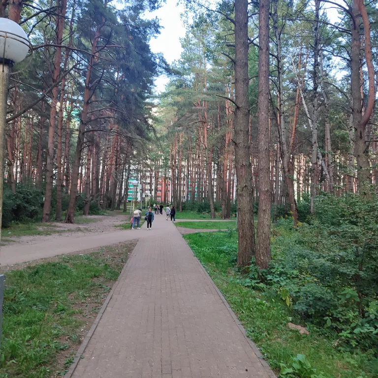 Евродвушка как трёшка