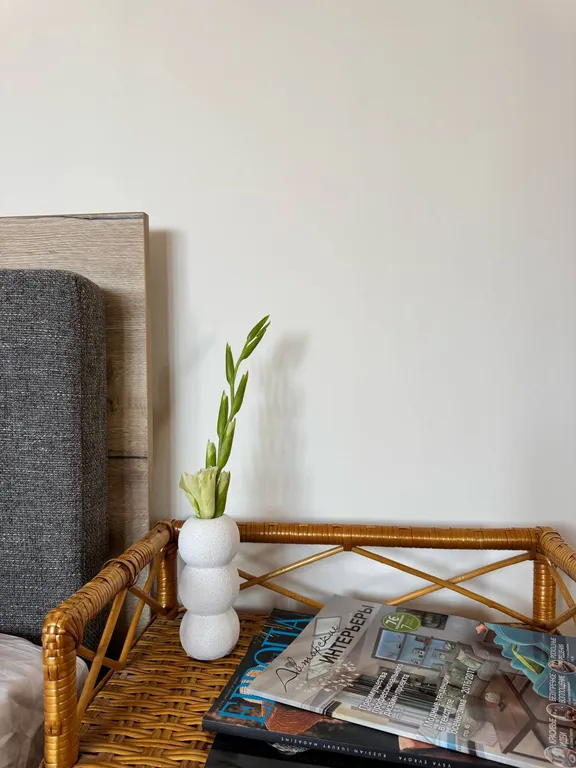 Трёшка в центре