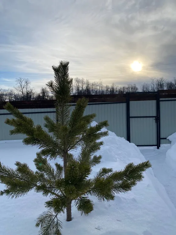 Дом с баней близь Уфы