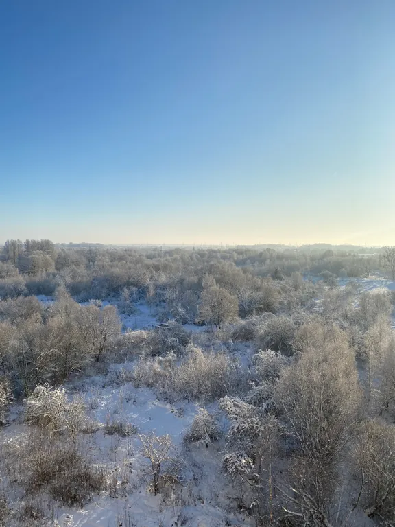 Квартира Уютная квартира в тихом зеленом районе (не центр) — Калининград