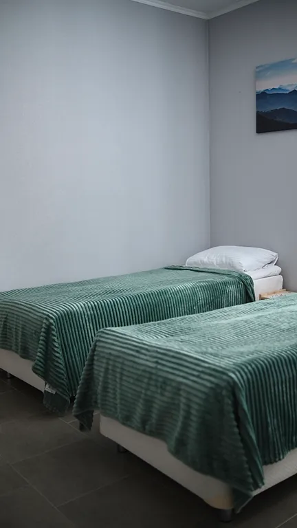 Апартамент однокомнатный "Центровой" (№8)