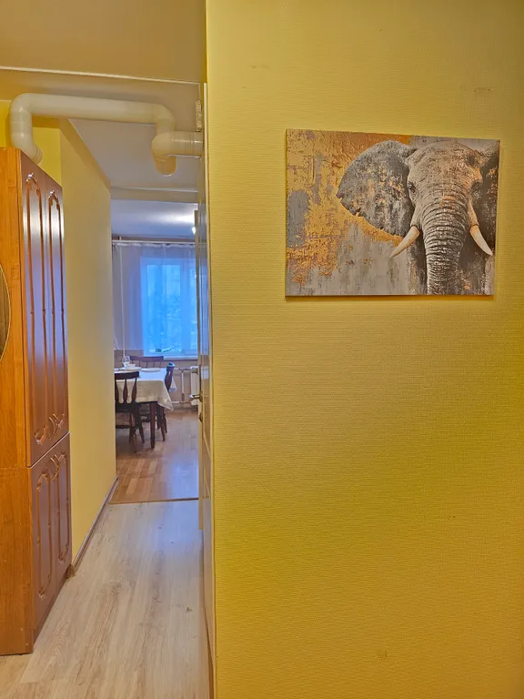 Просторная однокомнатная квартира