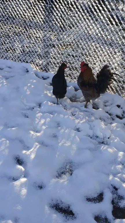 Таунхаус с детской комнатой