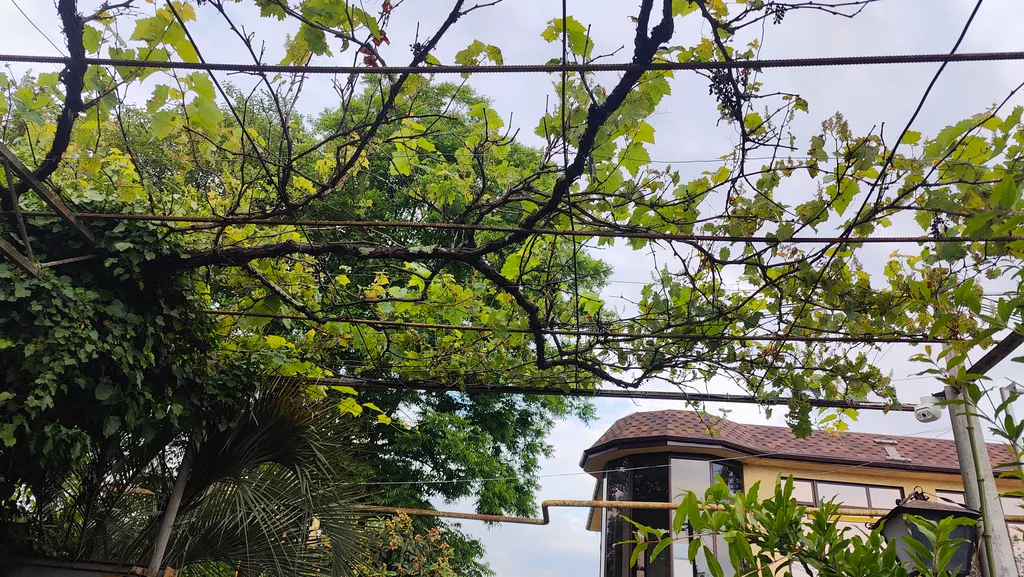 Домик с садом под ключ в пешей доступности от моря