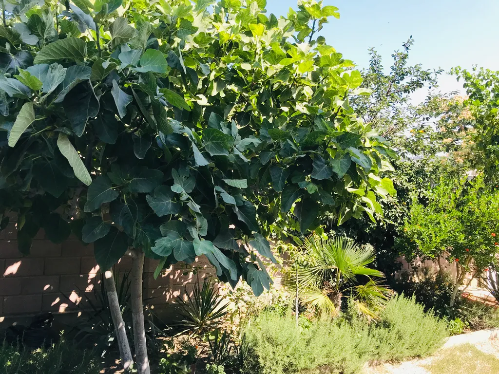 Коттедж Дом с беседкой — Судак