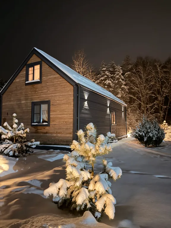 Уютный домик у леса с камином и панорамными окнами