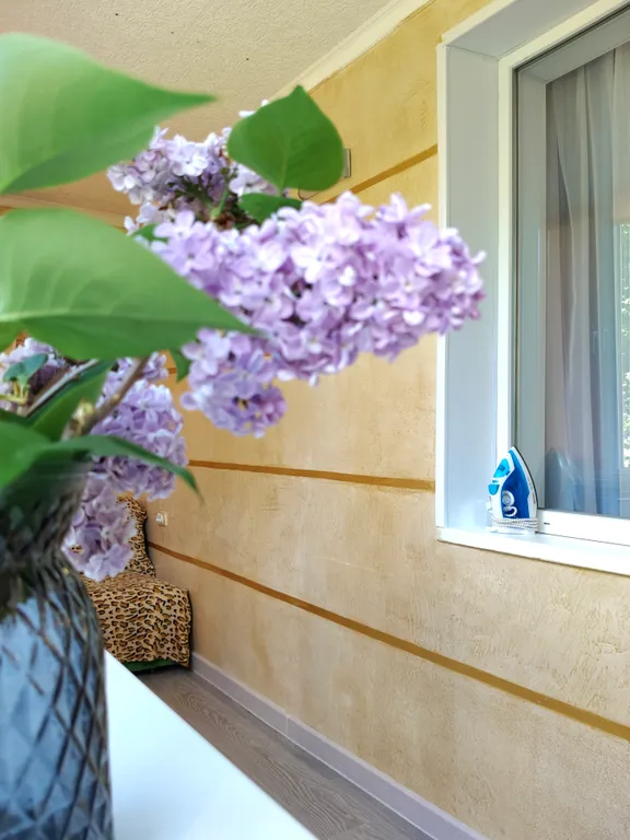 Квартира Квартира Уютно по-домашнему у парка Победы — Севастополь