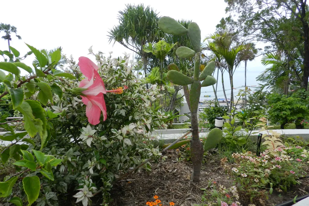 Студия с фронтальным видом на море