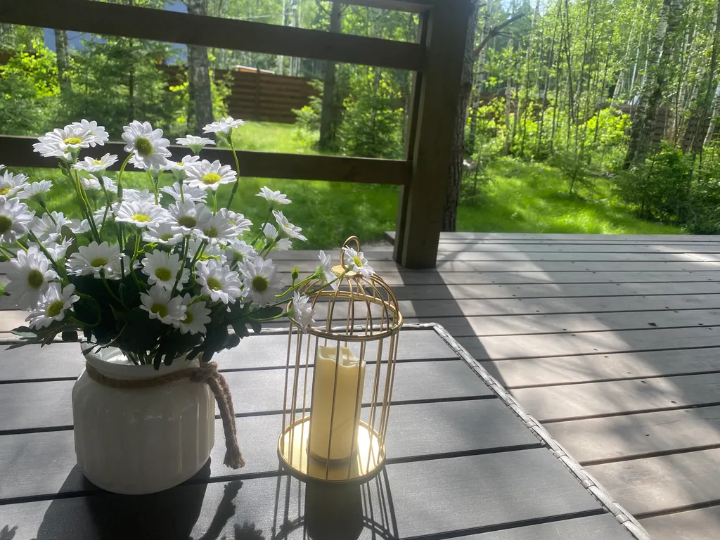 Коттедж Домик в лесу с сауной и купелью — Гжель