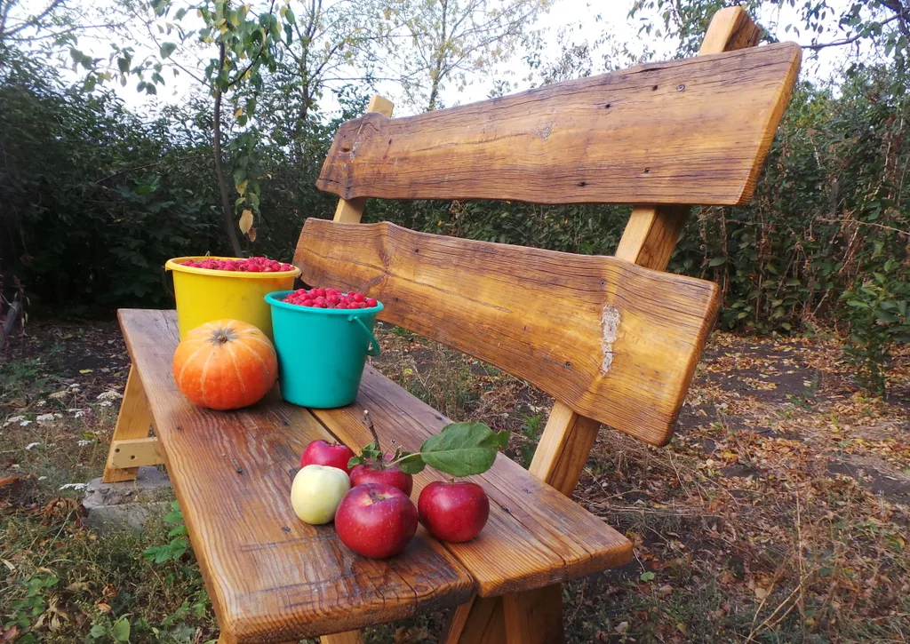 Коттедж Деревенский дом с садом и огородом — Воронеж