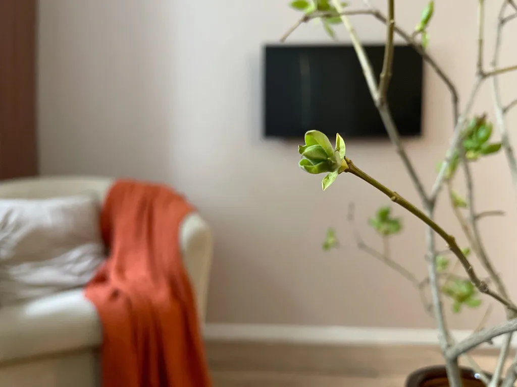 Двухкомнатная квартира в историческом центре