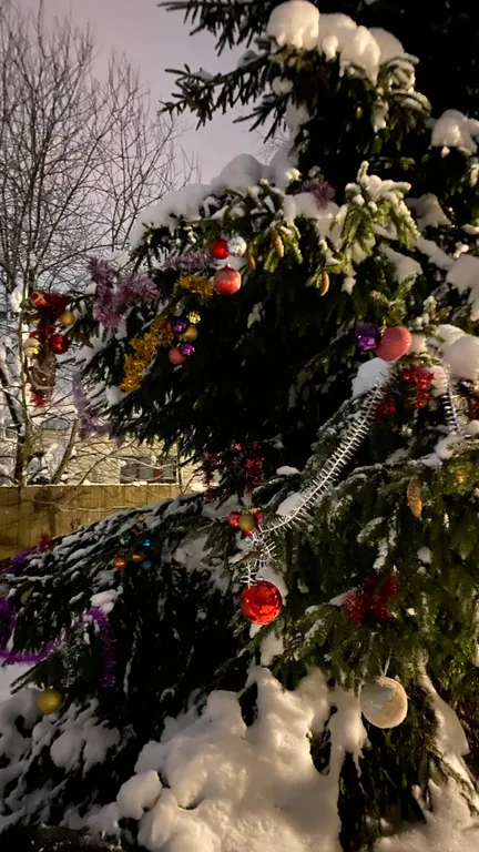 Тёплый коттедж в лесу