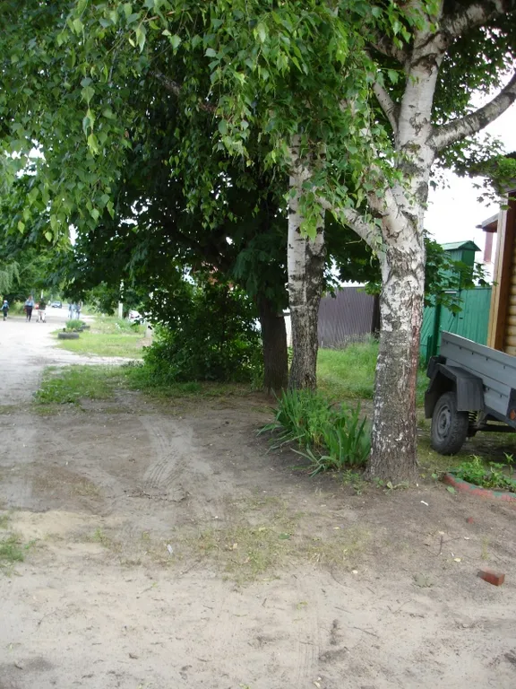 В гостях у сказки 1