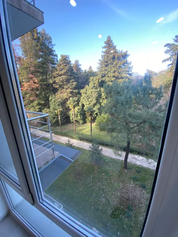 Квартира Квартира у моря с видом на парк — Сириус