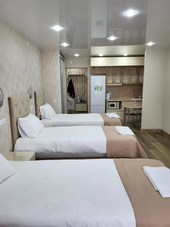 Апартаменты около монастыря Дивеево