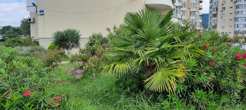 Уютный квартира в центре