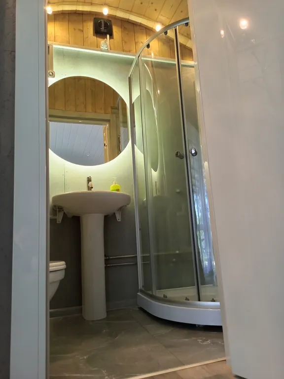 Домики на берегу Ладоги среди векового леса