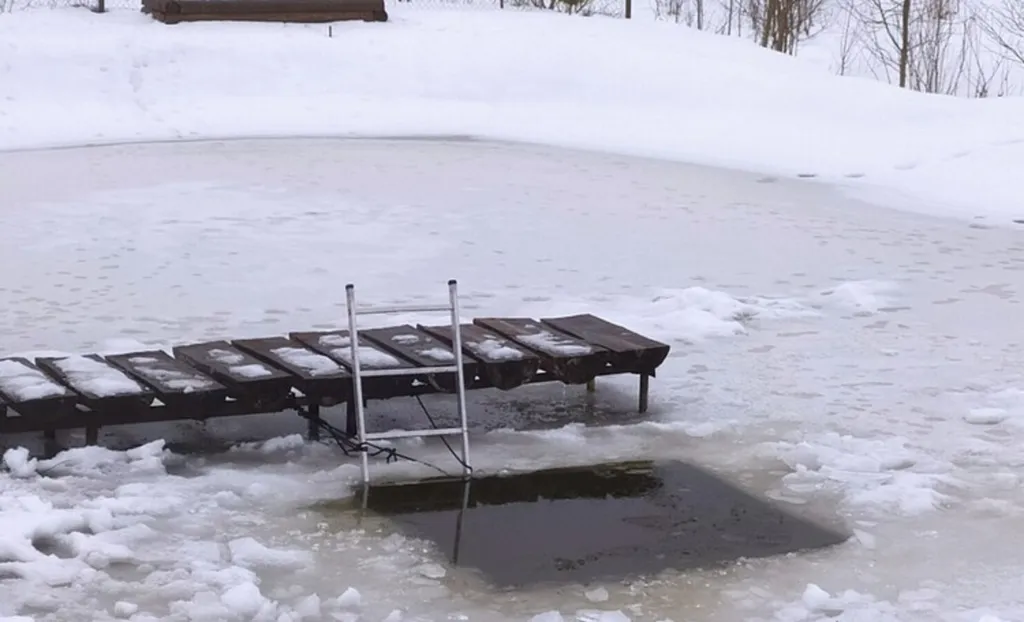 Хутор Избушка на опушке леса, возле реки