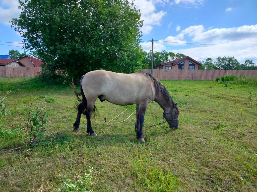 Дом для семейного отдыха