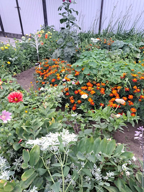 Семейный номер