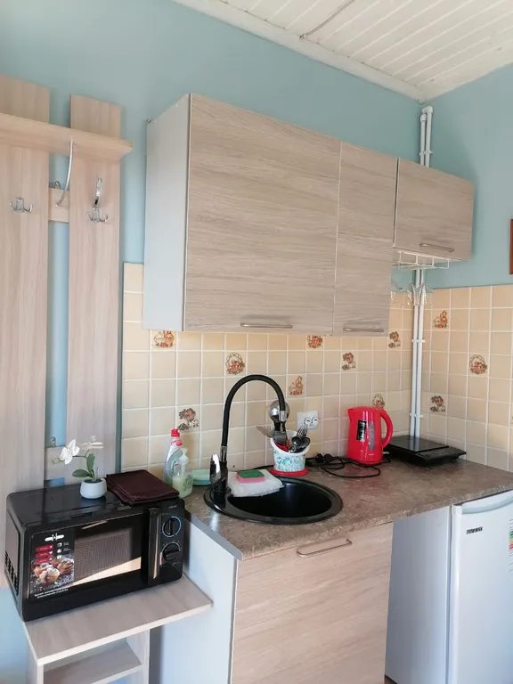 Квартира 1-комнатная Квартира — Луга