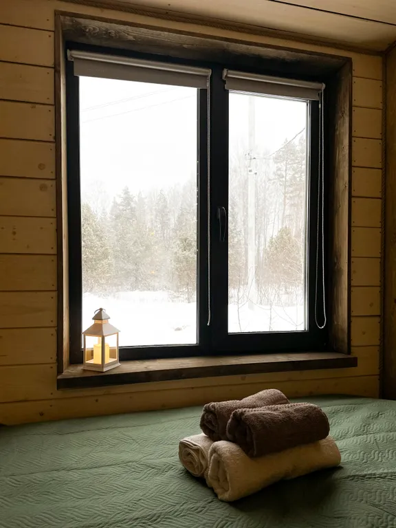 Дом в лесу в стиле барн