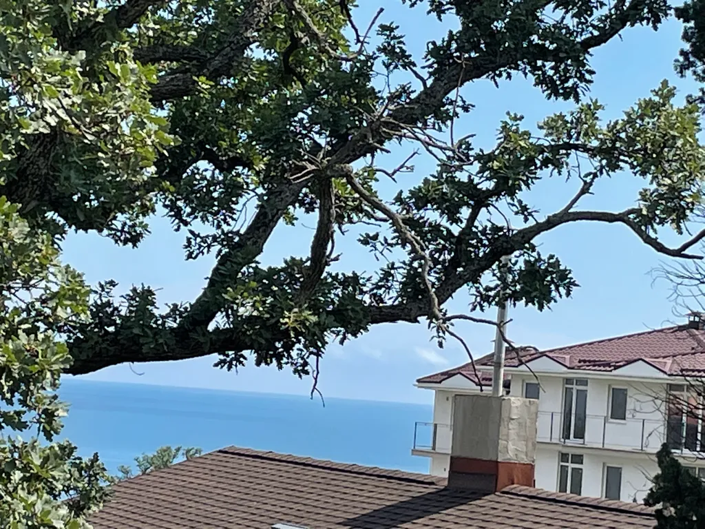 Уютная комната в частном доме со своим двором