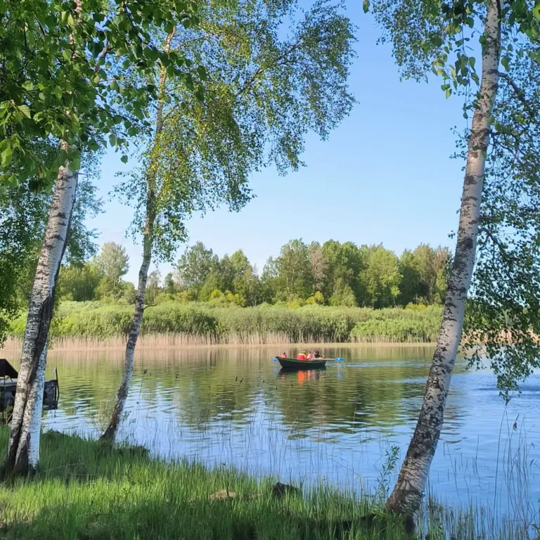 Дом на берегу озера с панорамным видом на лес