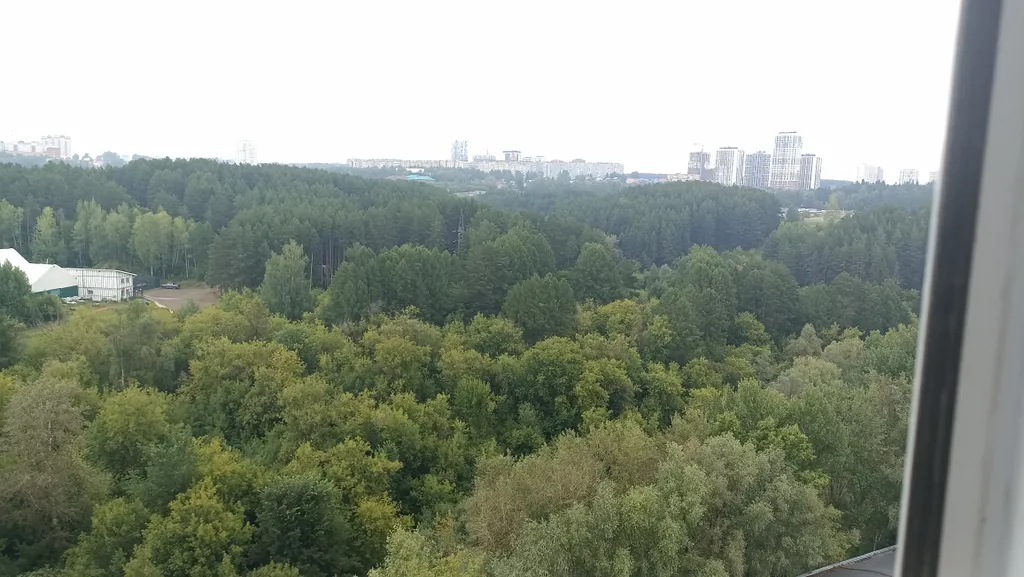 Квартира с панорамным видом на лес в центре города