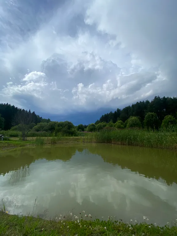 Садовый дом Саныча