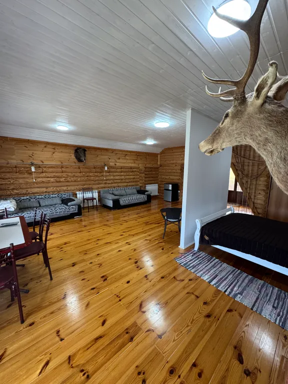 Эко домик лесника