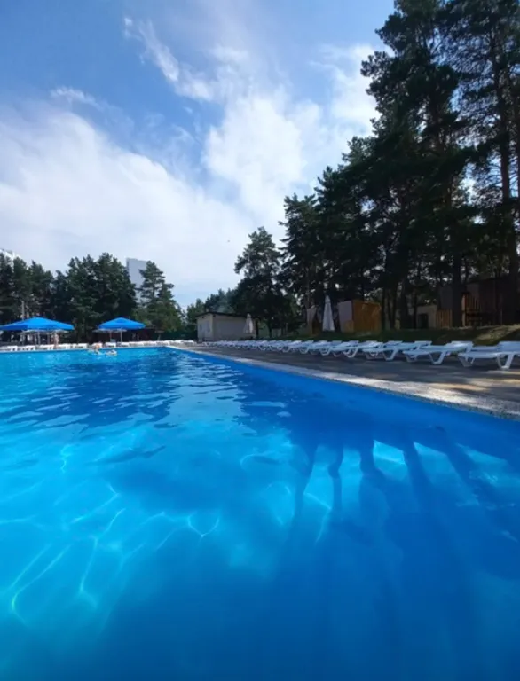 Квартира в новом доме с видом на лес