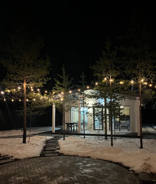 Дом в окружении сосен