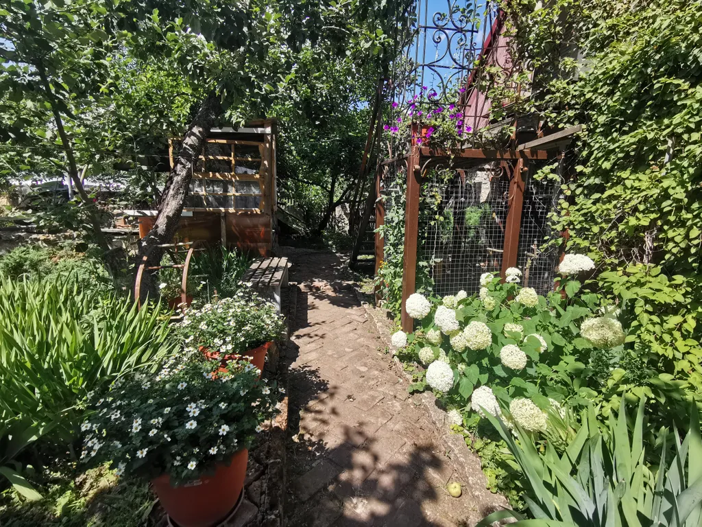 Домик в деревне