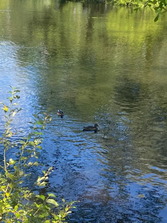 Двухуровневые апартаменты