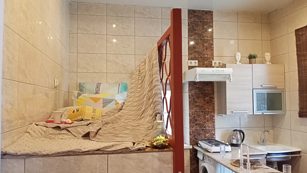 Квартира с видом на берег озера с лебедями, в историческом центре