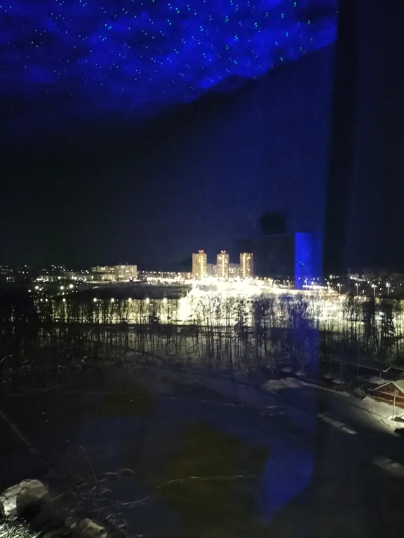 Уютная квартира с видом на берёзовую рощу