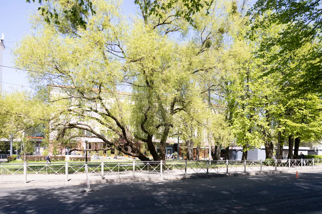 Квартира Квартира Комфорт в атмосфере старого Кенигсберга — Калининград